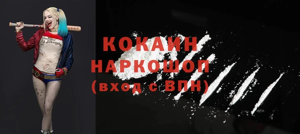 бошки Алексин