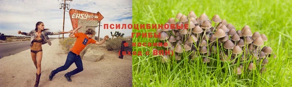 mix Алзамай
